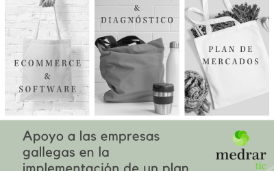 Ayudas Digitales a la internacionalización