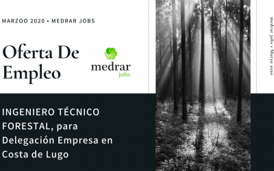 Oferta de Ingeniero Técnico Forestal para la Costa de Lugo. Importante Consultora de Ingeniería