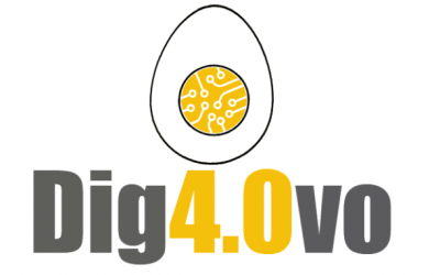 PROYECTO DIG4.OVO