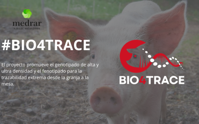 Medrar impulsa la digitalización y trazabilidad extrema en el sector porcino autóctono a través del proyecto BIO4TRACE
