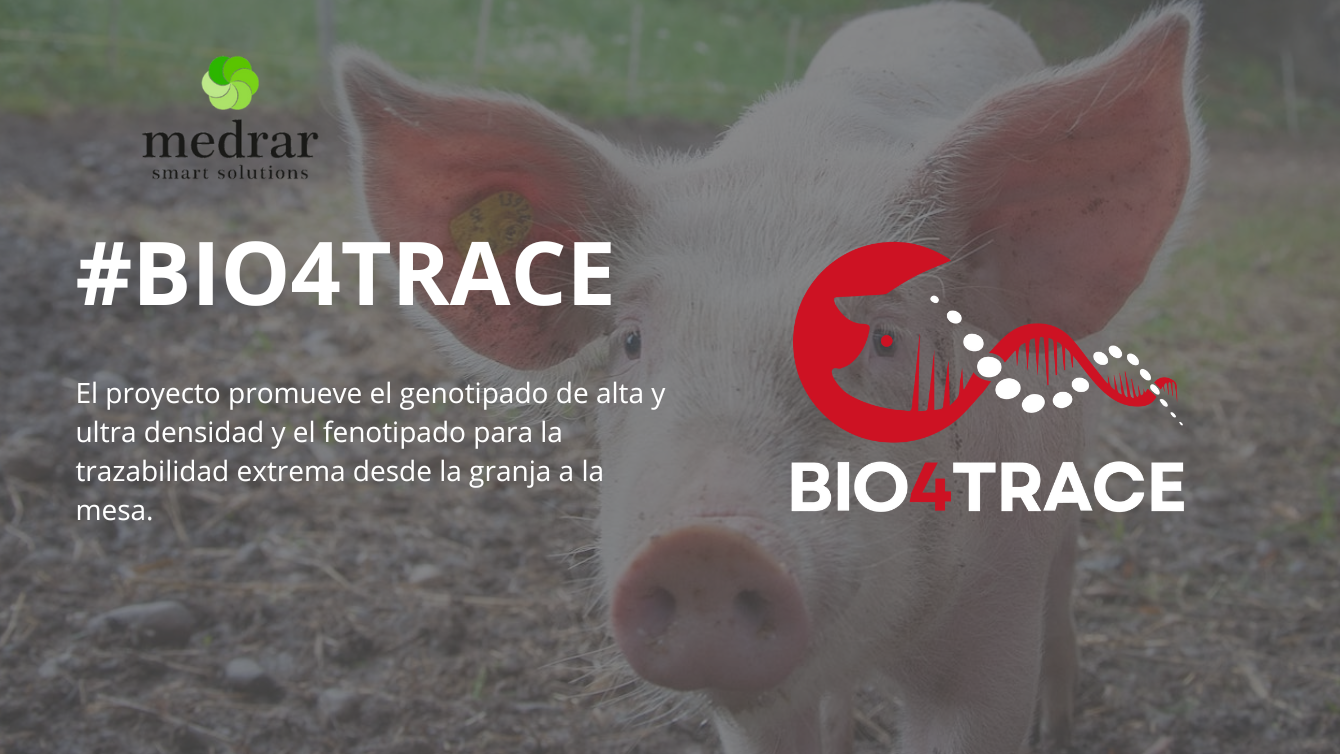 #BIO4TRACE