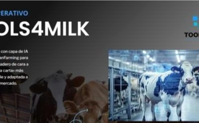 TOOLS4MILK: inteligencia artificial y metodología Lean para transformar la ganadería gallega